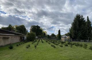 Grundstück zu kaufen in 04565 Regis-Breitingen, Jetzt Traumhaus planen – Baugrundstück in Regis-Breitingen mit ScanHaus