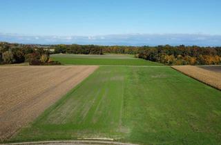 Immobilie kaufen in 94522 Wallersdorf, Ackerfläche südwestlich von Wallersdorf