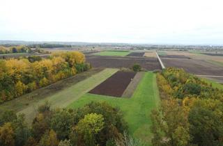 Immobilie kaufen in 94522 Wallersdorf, Landwirtschaftsfläche Nähe Wallersdorf