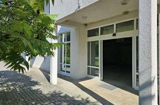 Gewerbeimmobilie kaufen in 02763 Zittau, Für Visionäre: 281 m² High-End-Projektfläche + 22 AST – exklusives Potenzial für Wohn & Gewerbe