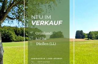 Gewerbeimmobilie kaufen in 86911 Dießen, Verkaufe 3,17 ha Grünland bei 86911 Dießen (LL)