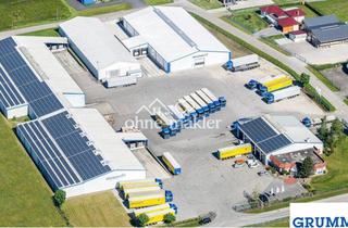 Geschäftslokal mieten in 49757 Werlte, Hallen und umzäunte Freiflächen