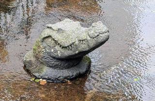 Wohnung kaufen in 79098 Altstadt, Reif für die Insel? Charmante 2-Zimmer Altstadtwohnung mit Münsterblick und Terrasse