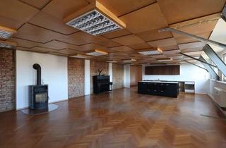 Lofts mieten in 08056 Zwickau, LOFTAMBIENTE MIT DACHTERRASSE, KAMINOFEN, EINBAUKÜCHE & STELLPLATZ !