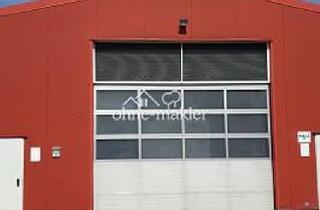 Büro zu mieten in 48496 Hopsten, Gewerbehalle mit Büroräumen, WC´s und Sektionaltor (Rheine,Lingen,Ibbenbüren)
