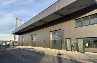 Büro zu mieten in Wasserfuhr, 59494 Soest, Moderne Büro- und Lagerfläche im Neubau – flexibel teilbar