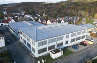 Gewerbeimmobilie mieten in 95119 Naila, Logistik- oder Produktionsfläche sofort nutzbar