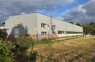 Gewerbeimmobilie mieten in Daimlerstraße 5-8, 48477 Hörstel, Moderne Industriehalle mit Portalkran, LKW-Rampe und optimaler Anbindung