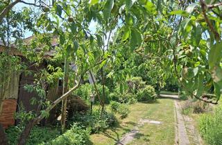Doppelhaushälfte kaufen in 39576 Stendal, Klein, aber fein - Doppelhaushälfte auf attraktivem Grundstück im Osten von Stendal