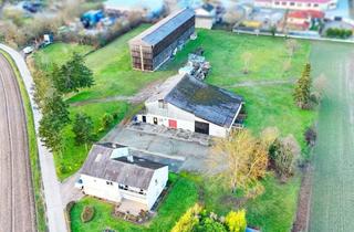 Gewerbeimmobilie kaufen in 67360 Lingenfeld, Große Landwirtschaftsfläche mit gewerblichem Zukunftspotenzial