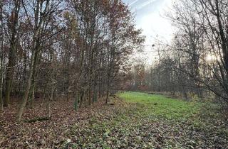 Gewerbeimmobilie kaufen in 85114 Buxheim, Idyllisches Forstgrundstück in naturnaher Lage bei Buxheim