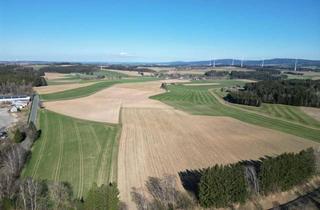 Gewerbeimmobilie kaufen in 95236 Stammbach, für energieintensive Branchen direkt an der A9