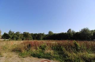 Grundstück zu kaufen in 26969 Butjadingen, Baugrundstück mit Südausrichtung in Butjadingen-Eckwarden