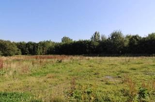 Grundstück zu kaufen in 26969 Butjadingen, Baugrundstück mit Südausrichtung in Butjadingen-Eckwarden