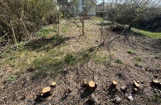 Immobilie kaufen in 55288 Gabsheim, Baugrundstück in Toplage!