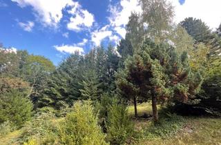 Immobilie kaufen in 09405 Zschopau, "Erholung mitten in der Natur" - Einzigartiges Freizeitgrundstück