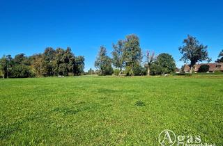 Immobilie kaufen in 17237 Möllenbeck, Bauträgerfreies ca. 3.800m² großes Grundstück in wunderbarer Lage, Bauland ca. 1.500 m²
