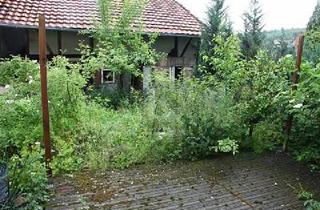 Einfamilienhaus kaufen in 37412 Herzberg, Herzberg am Harz - GESCHICK GEFRAGT - HANDWERKERPERLE