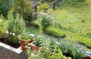 Wohnung kaufen in 79594 Inzlingen, Inzlingen - 3-Zimmer Wohnung in Inzlingen von Privat