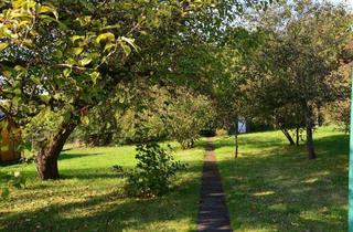 Haus kaufen in 37520 Osterode, Osterode am Harz - *2 Einfamilienhäuser auf einem Grundstück im beliebten OT Dreilinden*