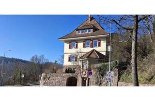 Wohnung kaufen in 75365 Calw, Historische Wohnung mit modernem Flair