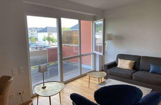 Wohnung kaufen in 76887 Bad Bergzabern, Moderne 1-Zimmer-Neubauwohnung mit Terrasse Barrierefrei