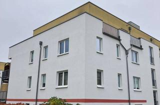 Wohnung mieten in Heinrich-Böll-Straße 9b, 13156 Niederschönhausen, Exklusive Dachgeschosswohnung mit über 100 m² Wohnfläche in ruhiger Wohnlage – Pankow