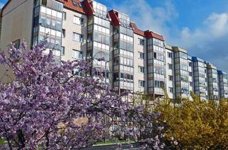 Wohnung mieten in F.-König-Straße 45, 98527 Suhl, Sanierte 2-Raum-Wohnung im Zentrum mit Aufzug