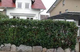 Haus mieten in 64683 Einhausen, Gepflegte Doppelhaushälfte in ruhiger Lage mit viel Platz für eine Familie