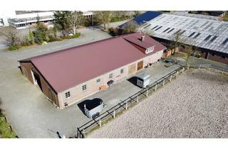 Gewerbeimmobilie kaufen in 26676 Barßel, Vielseitige Nutzungsmöglichkeiten | Wohnhaus mit großem Reitstall und Reitplatz