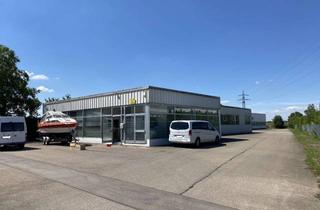 Büro zu mieten in 89423 Gundelfingen, Gewerbehalle mit Bürofläche