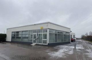 Büro zu mieten in Industriestr. 16, 89423 Gundelfingen, Gewerbehalle mit Bürofläche