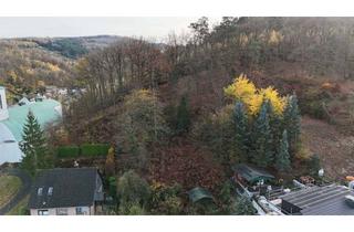 Grundstück zu kaufen in 58675 Hemer, Wohnen im Einklang mit der Natur: Baugrundstück inklusive eigenem Forstbesitz