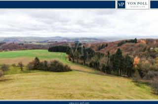 Grundstück zu kaufen in 56283 Nörtershausen, Baugrundstück mit Panorama-Weitsicht ins Grüne inkl. Baugenehmigung