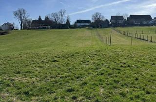 Grundstück zu kaufen in 89343 Jettingen-Scheppach, Wiese - Freizeitgrundstück