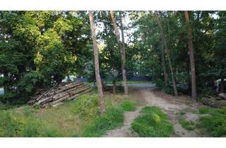 Grundstück zu kaufen in 16348 Wandlitz, Baugrundstück in Seenähe im grünen Wandlitz