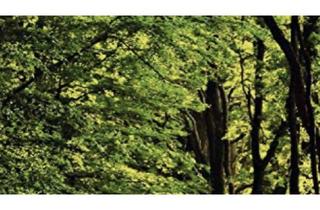 Grundstück zu kaufen in 89359 Kötz, W A L D