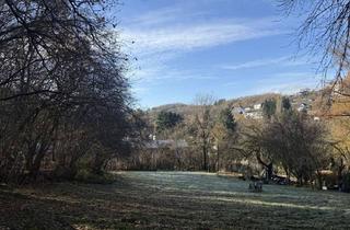 Grundstück zu kaufen in 55743 Idar-Oberstein, 5.162 m² Naturnaher Rückzugsort: Großzügiges Freizeitgrundstück mit Charme und Projekt-Potenzial