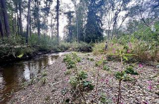 Grundstück zu kaufen in 86949 Windach, Waldgrundstück in Windach an der Windach im FFH Gebiet