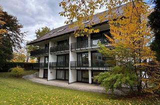 Büro zu mieten in 82031 Grünwald, Helles Souterrainbüro mit Südterrasse!