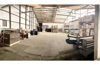 Gewerbeimmobilie mieten in Kronskamp 129, 22880 Wedel, Lagerhalle ab 12/2025 zu vermieten