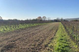 Gewerbeimmobilie kaufen in 55276 Oppenheim, Weinbergsfläche in Oppenheim – gut erreichbar und vielseitig nutzbar