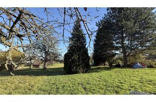 Mehrfamilienhaus kaufen in 73765 Neuhausen, „ Das traumhafte sonnige Mehrfamilienhaus in bester ruhiger Aussichtslage !„