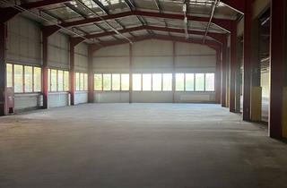 Büro zu mieten in 72275 Alpirsbach, Vielseitige Gewerbeflächen – Lager, Produktion, Büro