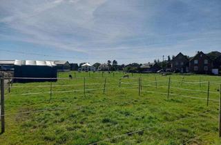 Grundstück zu kaufen in 41352 Korschenbroich, Großes Baugrundstück in Korschenbroich