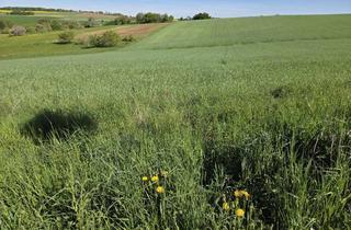 Grundstück zu kaufen in 66646 Marpingen, Baugrundstück in Urexweiler