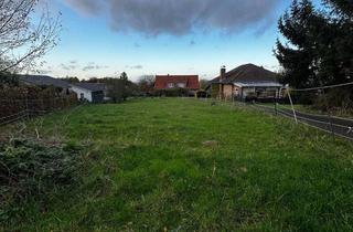 Grundstück zu kaufen in 31688 Nienstädt, Wunderschönes Grundstück im Grünen!