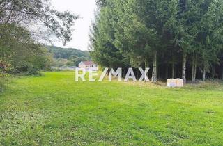 Gewerbeimmobilie kaufen in 66636 Tholey, !! Investieren Sie in die Zukunft...!!11.447 m² Grundstück + 2 FH und... und... und...!!!