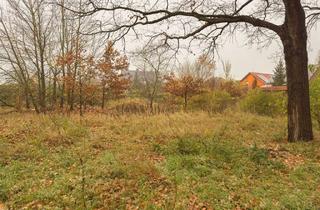 Grundstück zu kaufen in 16766 Kremmen, Ruhig wohnen, stadtnah bauen – attraktives Grundstück in Kremmen