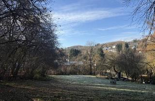 Immobilie kaufen in 55743 Idar-Oberstein, 5.162 m² Naturnaher Rückzugsort: Großzügiges Freizeitgrundstück mit Charme und Projekt-Potenzial